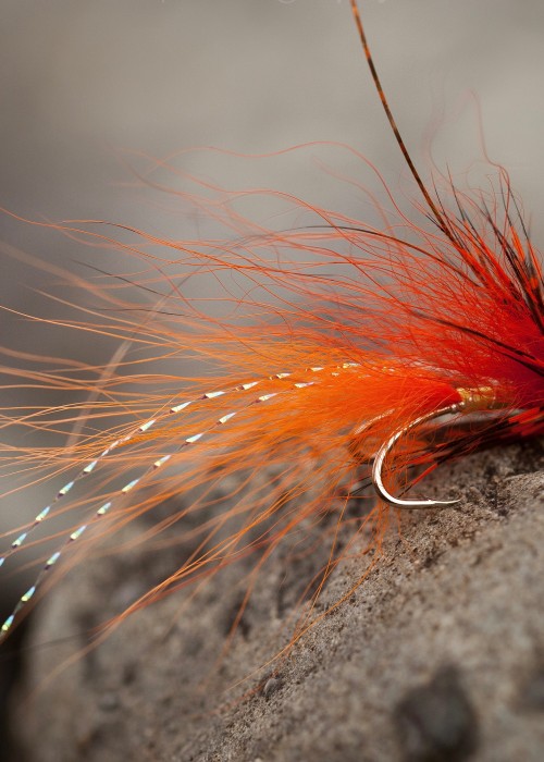The Jock's Shrimp Salmon Fly