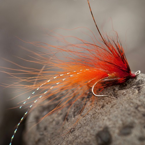 The Jock's Shrimp salmon fly is a self designed salmon fly pattern that was originally created to target late Summer & Autumn salmon on the River Tay while working as a Head Ghillie. This pattern is totally reliable as a salmon attractor and not only during the above initially intended fishing times.
