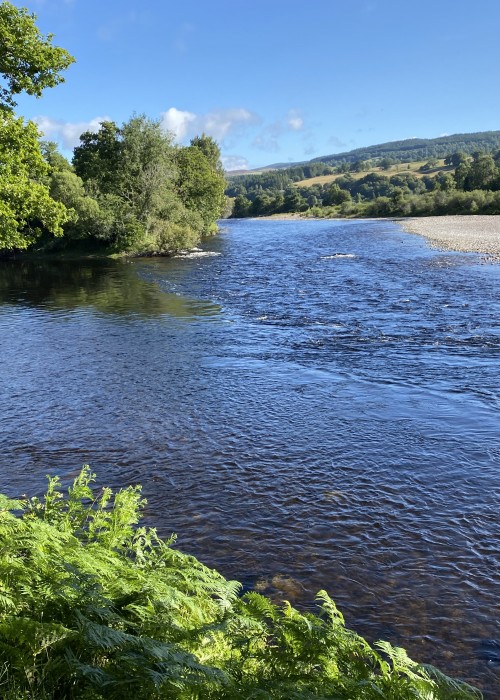 A River Tay Salmon Fisher