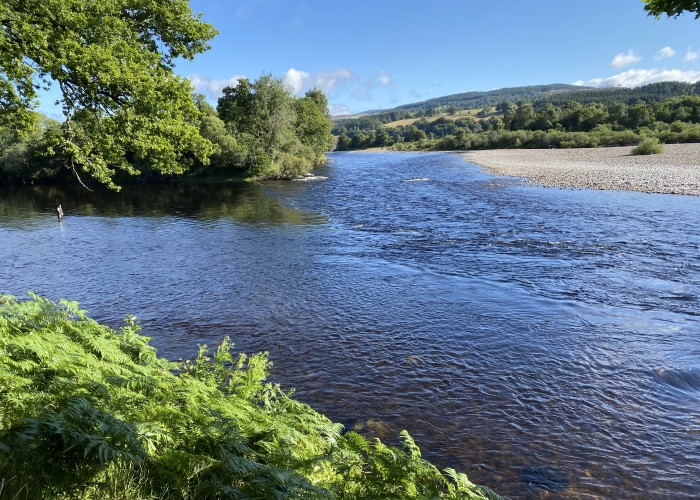What Are The Best Salmon Rivers To Fish In Scotland