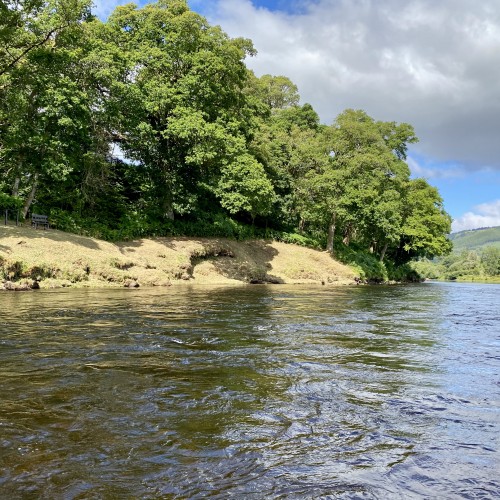 Professional Salmon Fishing Guide Service River Tay