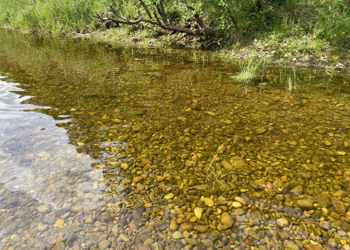 When Do Atlantic Salmon Spawn In Scotland