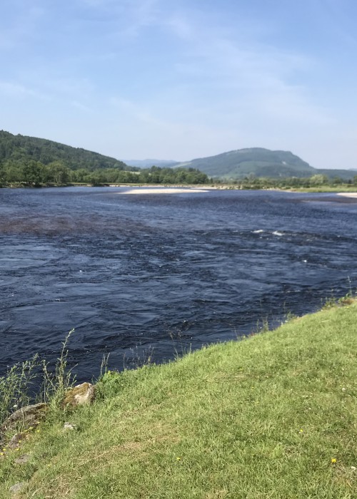 The Scottish salmon rivers open each year as early as 15th January and close as late as 30th November. This is a perfect upstream shot of the Ash Tree Pool neck near Dunkeld which was taken from the left hand bank of the river.