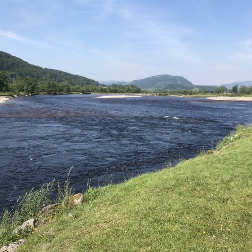 The Scottish salmon rivers open each year as early as 15th January and close as late as 30th November. This is a perfect upstream shot of the Ash Tree Pool neck near Dunkeld which was taken from the left hand bank of the river.