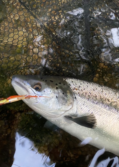 This salmon tube fly looks like nothing at all but if you place it in the river the water activates its fine Arctic fox tail fibres and it transforms into a life like creation. This is the Jock's Shrimp' salmon fly which is one of my most effective salmon fly patterns.