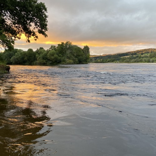 The calm water in the little bay to the left of frame is where you can expect to locate salmon when the river is high like this. This shot was taken opposite the River Tummel mouth on the River Tay near the Perthshire towns of Pitlochry & Dunkeld.