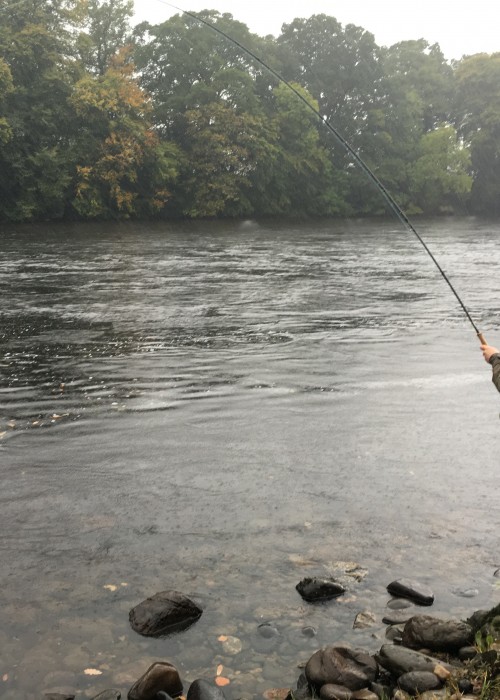 Here's a lucky Austrian guest buckled into an Autumn run River Tay salmon at the Trap Pool on the Newtyle Beat in the Scottish rain. Weather conditions are barely even noticeable when the salmon adrenalin is pumping through your body!