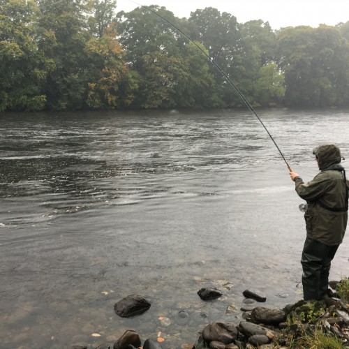 Here's a lucky Austrian guest buckled into an Autumn run River Tay salmon at the Trap Pool on the Newtyle Beat in the Scottish rain. Weather conditions are barely even noticeable when the salmon adrenalin is pumping through your body!