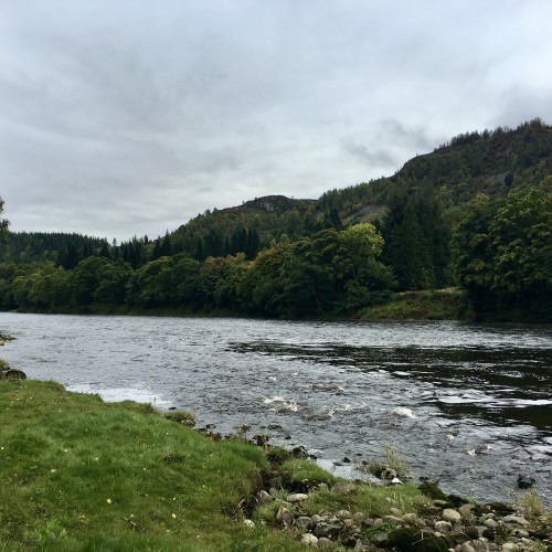 Look at the high water powering downstream in this flood picture of the River Tay at Dunkeld. When the Scottish rivers are like this salmon are pushed into the river margins and can still be caught if you exercise some stealth by keeping well back from the edges.