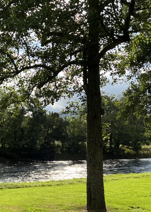 Here's a typical well groomed Tulchan Beat riverside lawn. Top riverbank maintenance is carried out on the best salmon fly fishing beats in Scotland and the Tulchan Beats are high on that list.