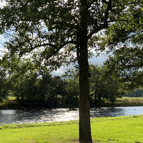 Here's a typical well groomed Tulchan Beat riverside lawn. Top riverbank maintenance is carried out on the best salmon fly fishing beats in Scotland and the Tulchan Beats are high on that list.
