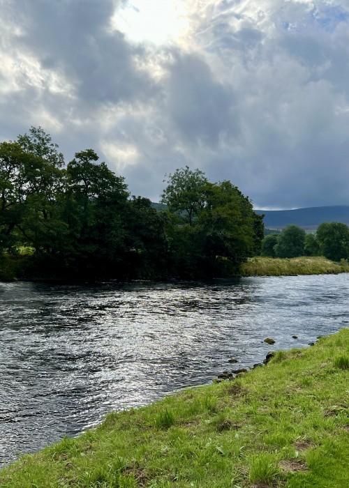 Here's a look at the Spey near Grantown-on-Spey with the Cairngorm Mountains in the distance. This beautiful Scottish mountain range feeds the River spey with snow melt water through the Spring months of the year which encourages Spring salmon to run this famous and fast flowing salmon river.