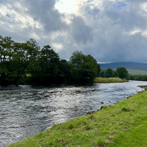 Here's a look at the Spey near Grantown-on-Spey with the Cairngorm Mountains in the distance. This beautiful Scottish mountain range feeds the River spey with snow melt water through the Spring months of the year which encourages Spring salmon to run this famous and fast flowing salmon river.
