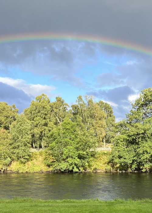 Here's a Scottish rainbow hovering up over the River Spey at Tulchan Estate near Advie. Look at the beautiful riverbank trees and grass banks which add even more to the scenery in this special fly fishing area of Scotland.