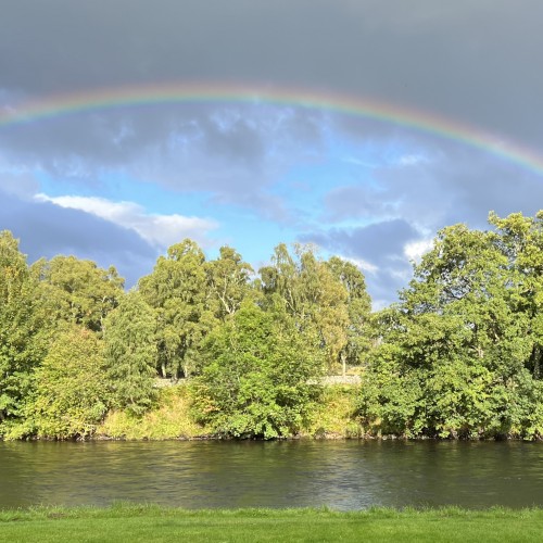 Here's a Scottish rainbow hovering up over the River Spey at Tulchan Estate near Advie. Look at the beautiful riverbank trees and grass banks which add even more to the scenery in this special fly fishing area of Scotland.