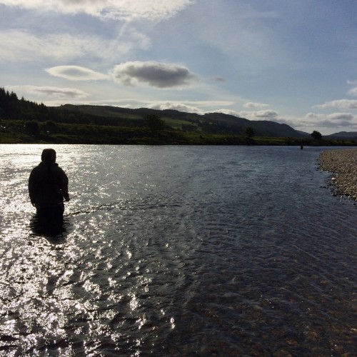This salmon angler is out fishing the River Tay during the most amazing light show at the Lower Kinnaird salmon beat's Guay Pool. This pool is one of Kinnaird's most productive salmon pools which is easily fished and waded through from this gently tapered gravel riverbank on the right hand bank.