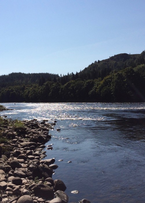How To Approach A Salmon River