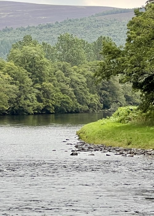 Here's a perfect green grass riverbank from the River Spey near the Spey Valley town of Advie which is 20 minutes away from the popular accommodation town of Grantown-on-Spey. The Spey is the UK's fastest flowing and most famous salmon river.