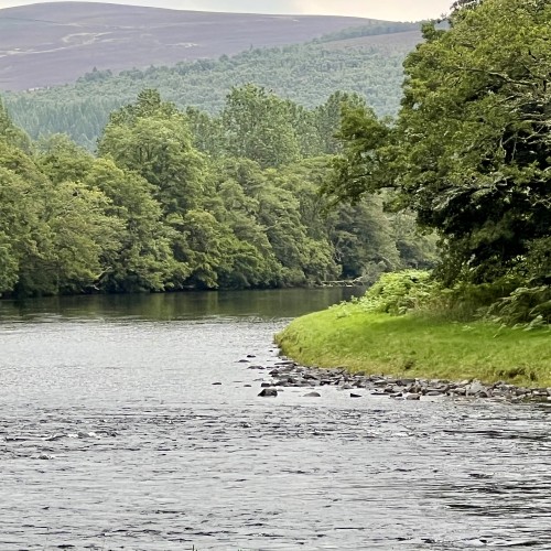 Here's a perfect green grass riverbank from the River Spey near the Spey Valley town of Advie which is 20 minutes away from the popular accommodation town of Grantown-on-Spey. The Spey is the UK's fastest flowing and most famous salmon river.