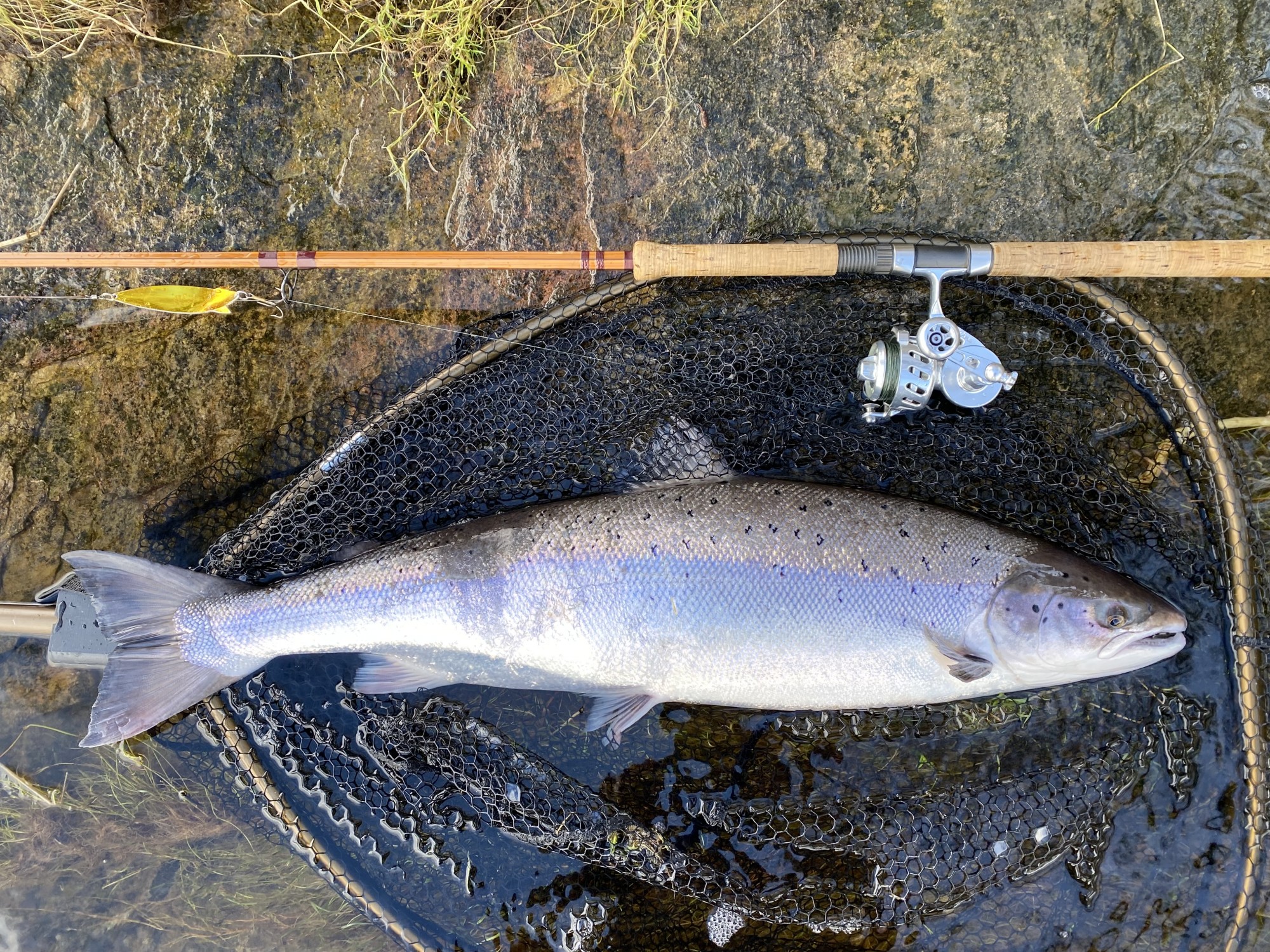 https://salmon-fishing-scotland.com/pubd/images/upd/18e5a141ad9-IMG-6493.2000.jpeg
