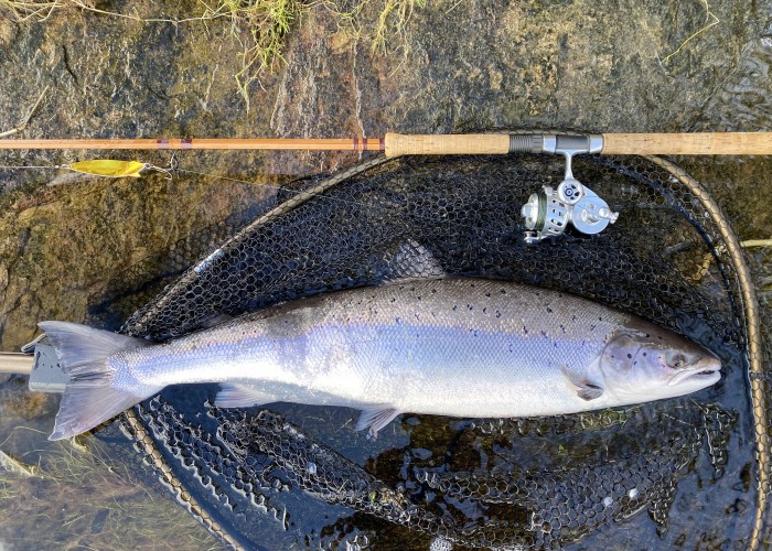 How To Fish For Salmon In High Water Conditions