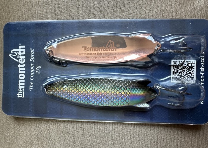 How To Hook A Salmon When Spin Fishing